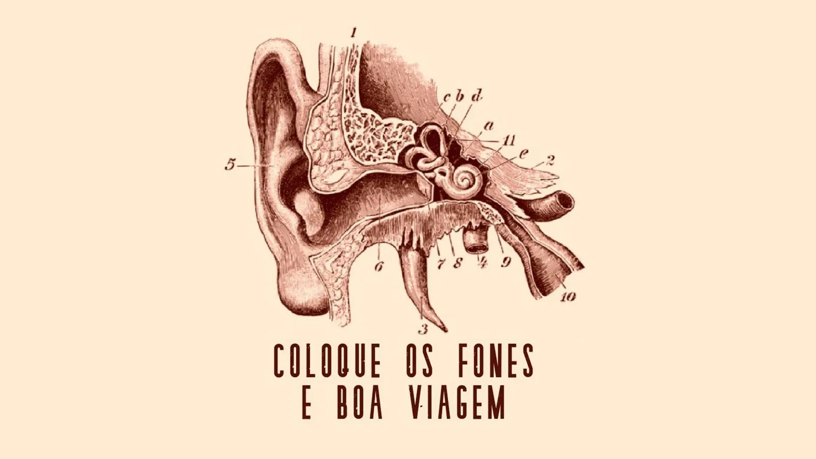 Podcast Ser Sonoro explica relação entre humanos, sons e música